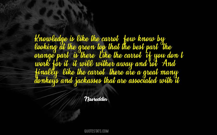 Green And Orange Quotes #548352