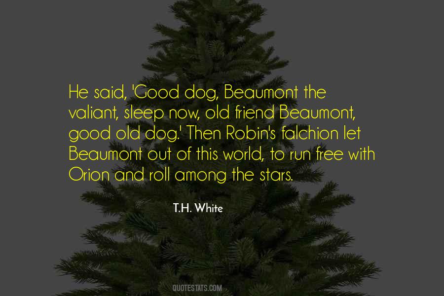 Good Old Dog Quotes #1056689