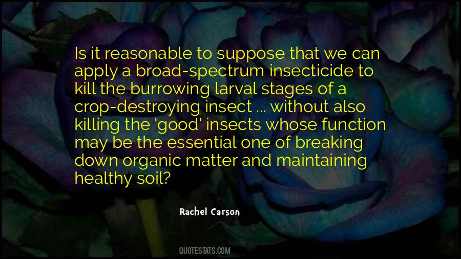 Good Organic Quotes #755022