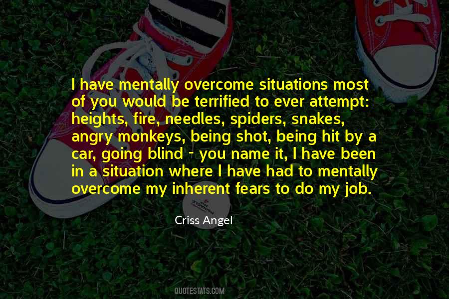 Overcome My Fears Quotes #773827