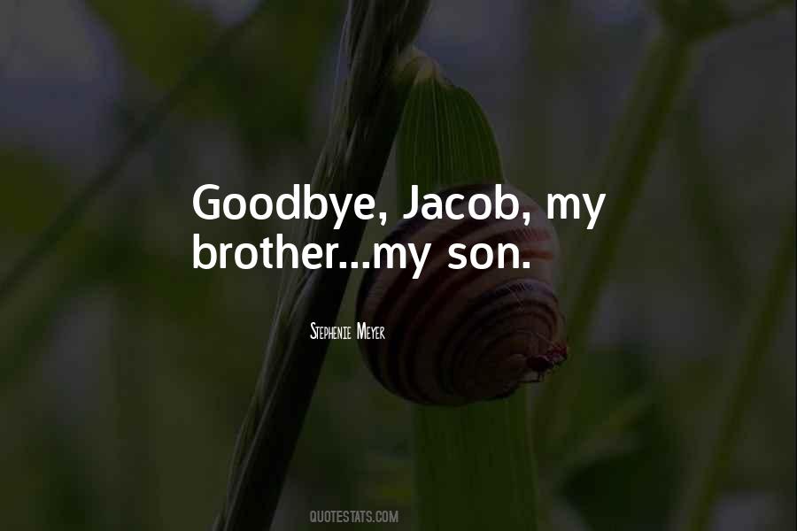 Goodbye Brother Quotes #529114