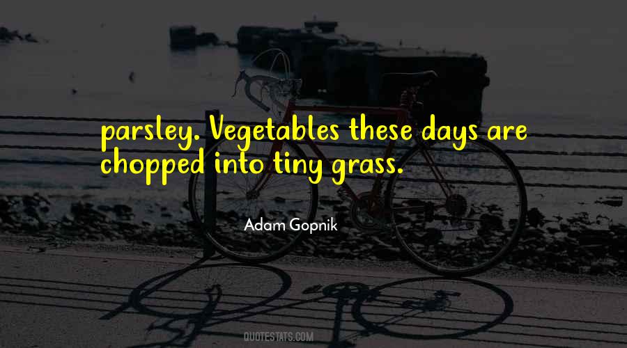 Gopnik Quotes #157575
