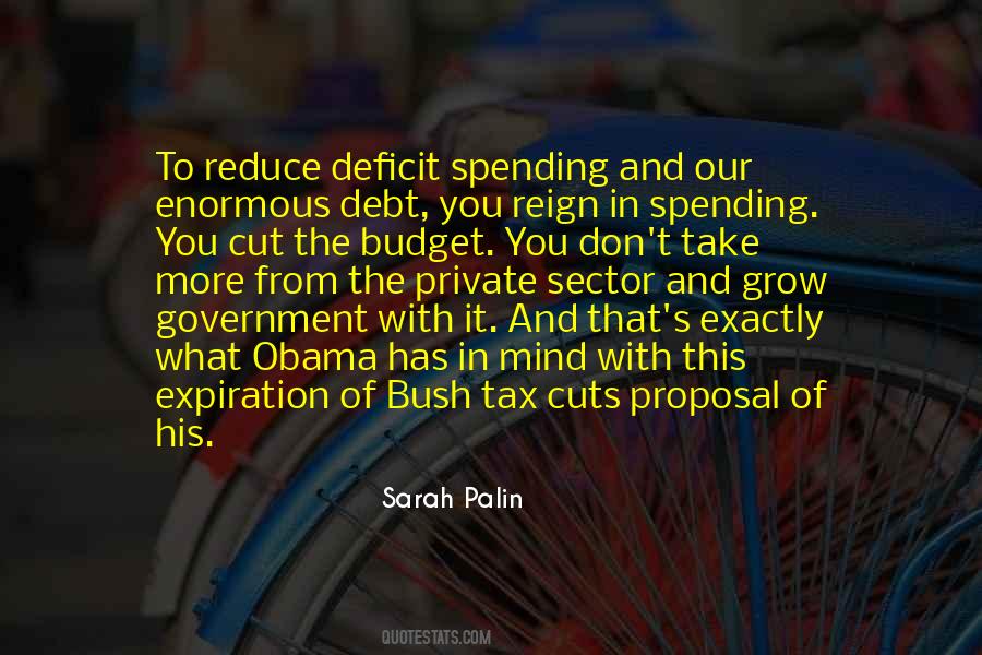 Government Deficit Quotes #60030