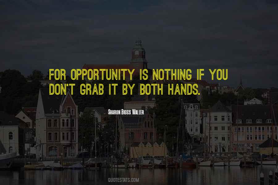 Grab Your Opportunity Quotes #806185