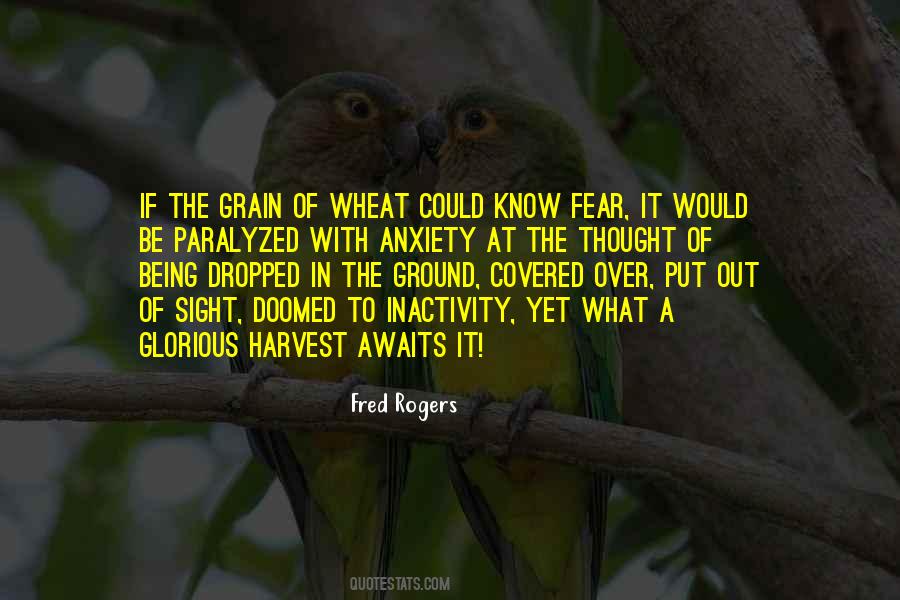 Grain Harvest Quotes #591431