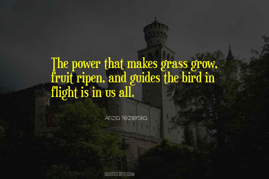 Grass Grow Quotes #130974