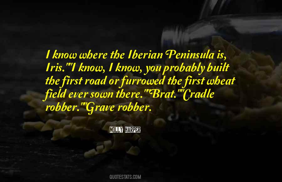 Grave Robber Quotes #891105