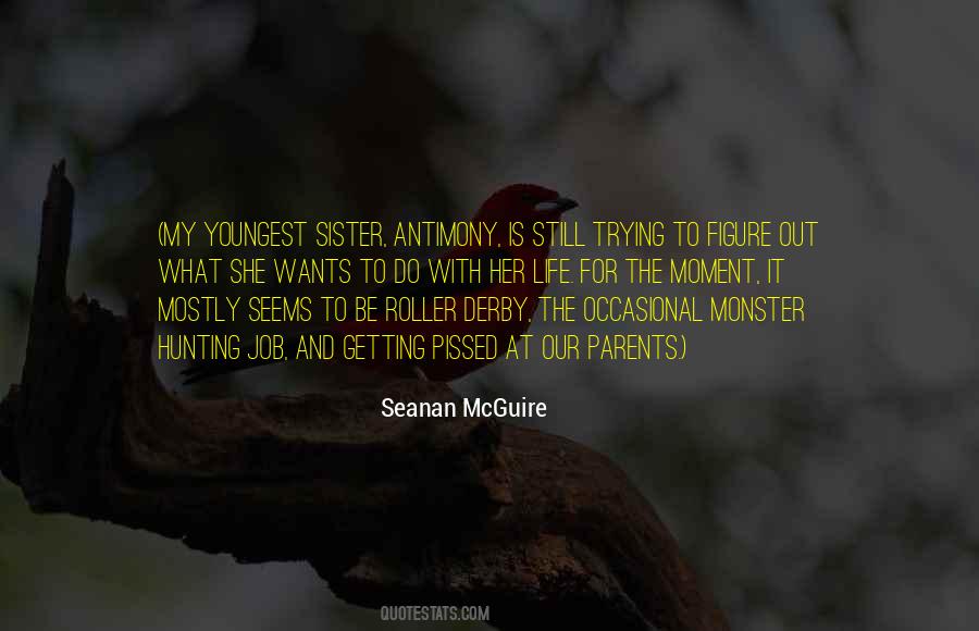 Great Controversy Quotes #1103999