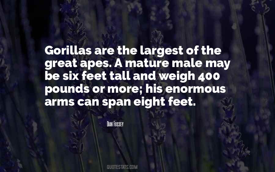 Great Male Quotes #1358664