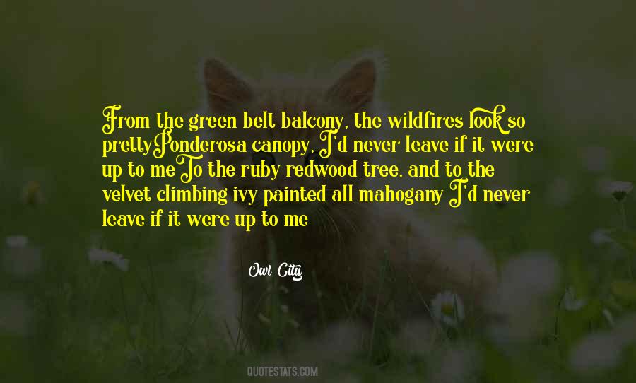 Green Balcony Quotes #1318397