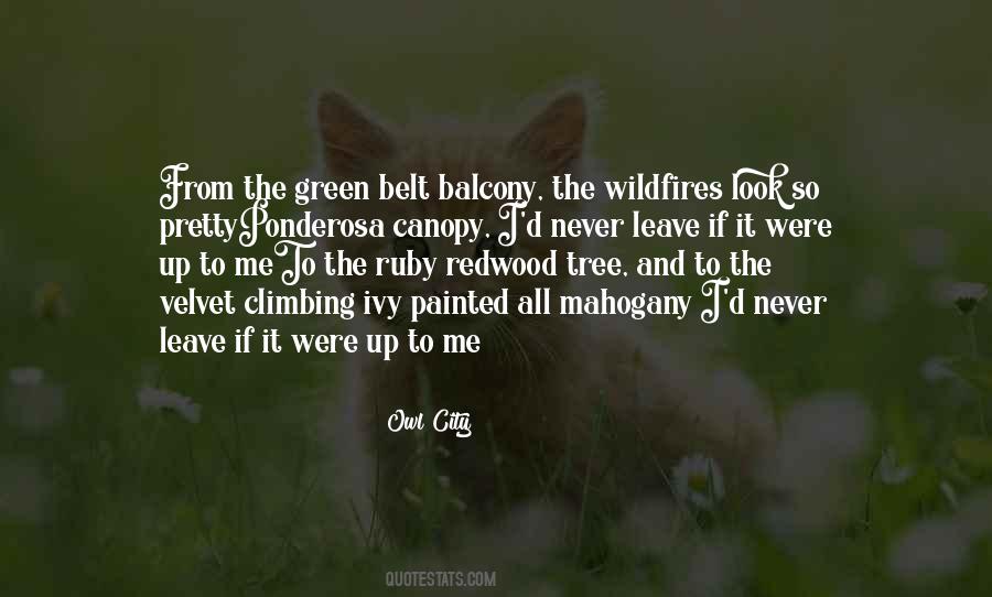 Green Belt Quotes #1318397