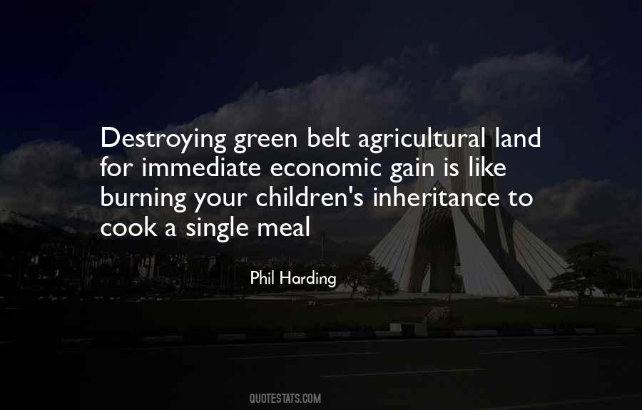 Green Belt Quotes #900049