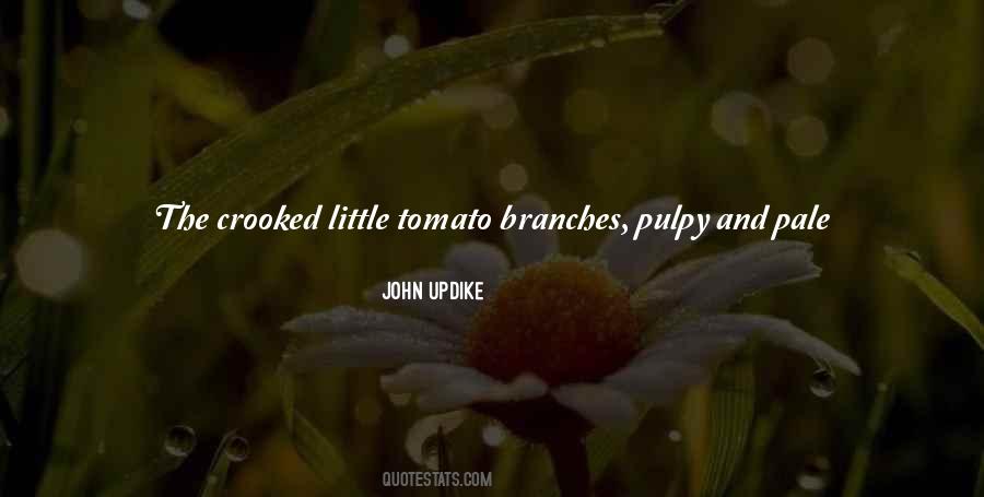 Green Tomato Quotes #812272