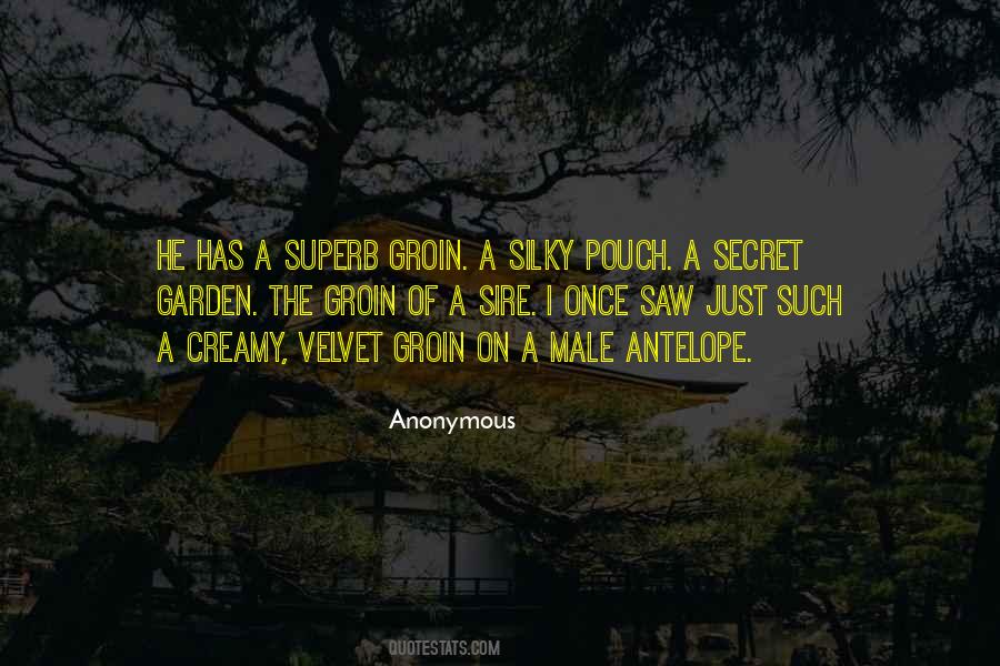 Groin Quotes #267035