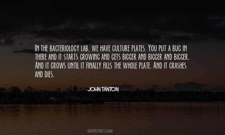 Growing Bigger Quotes #1212020