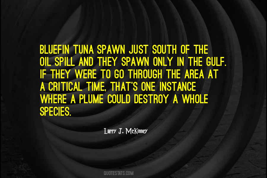 Gulf Oil Spill Quotes #459392