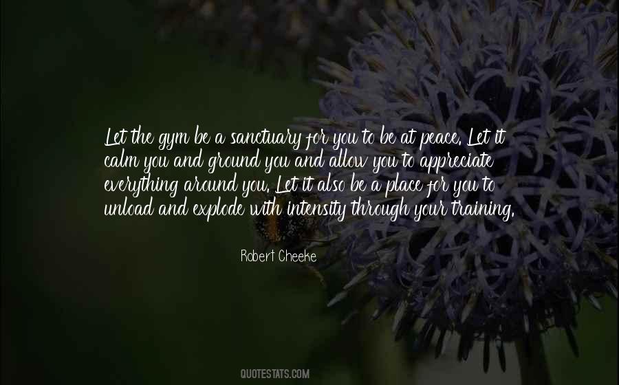 Gym Sanctuary Quotes #1295095
