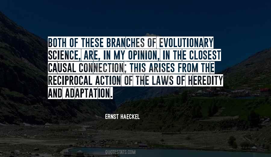 Haeckel Quotes #667072