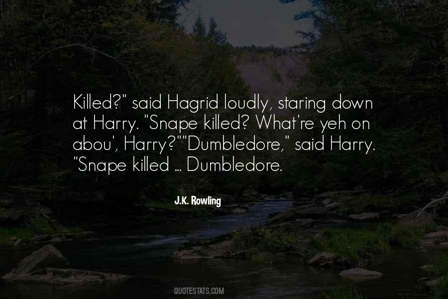 Hagrid's Quotes #1211008