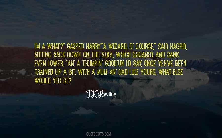 Hagrid's Quotes #1513579