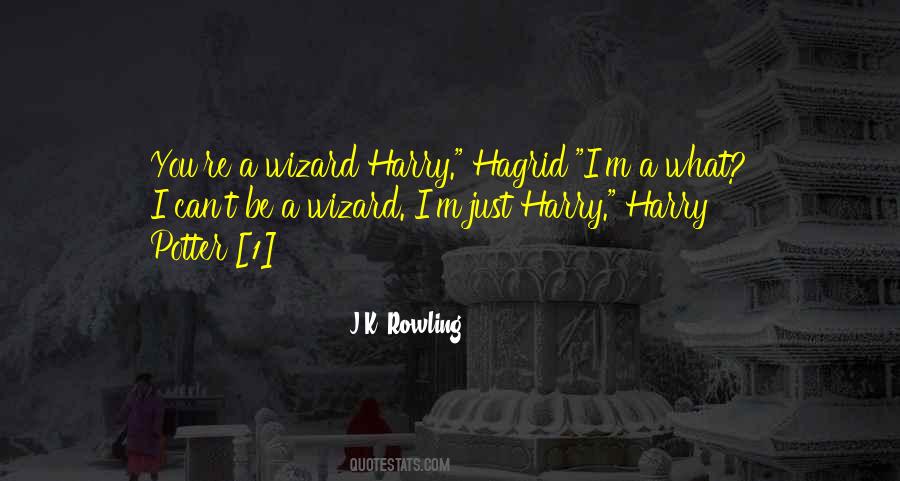 Hagrid's Quotes #157133