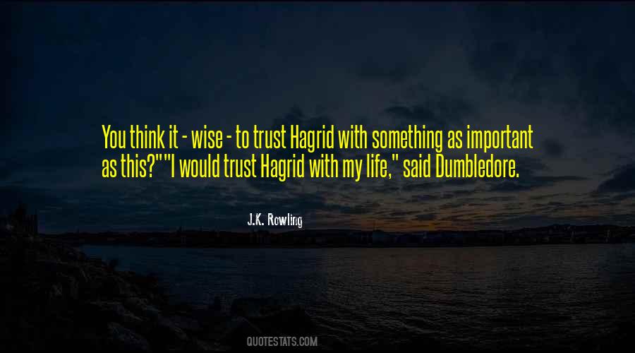 Hagrid's Quotes #805671