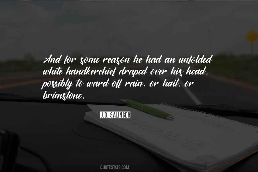 Hail Rain Quotes #518004