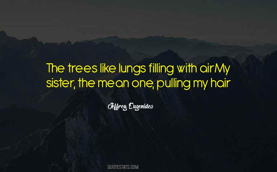 Hair Pulling Quotes #1587060