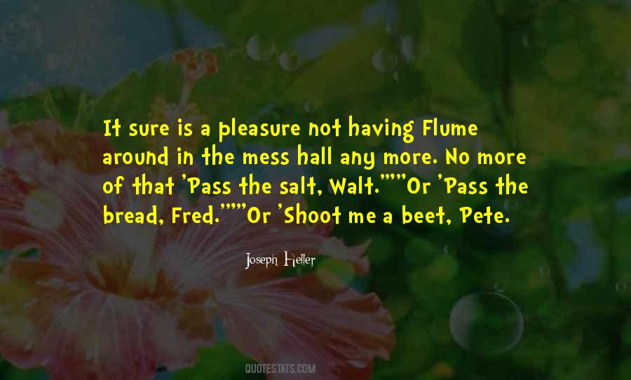 Hall Pass Quotes #386547