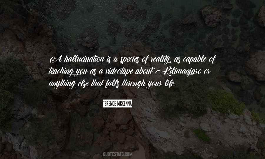 Hallucination Quotes #1457550