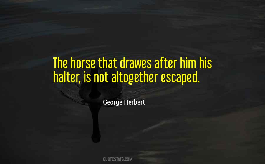 Halter Horse Quotes #708675