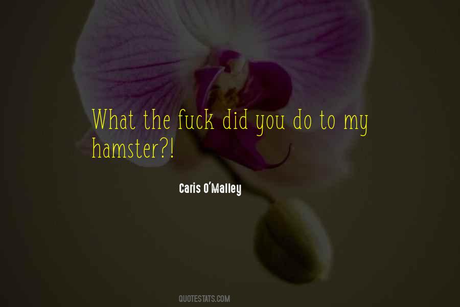 Hamster Quotes #1196952