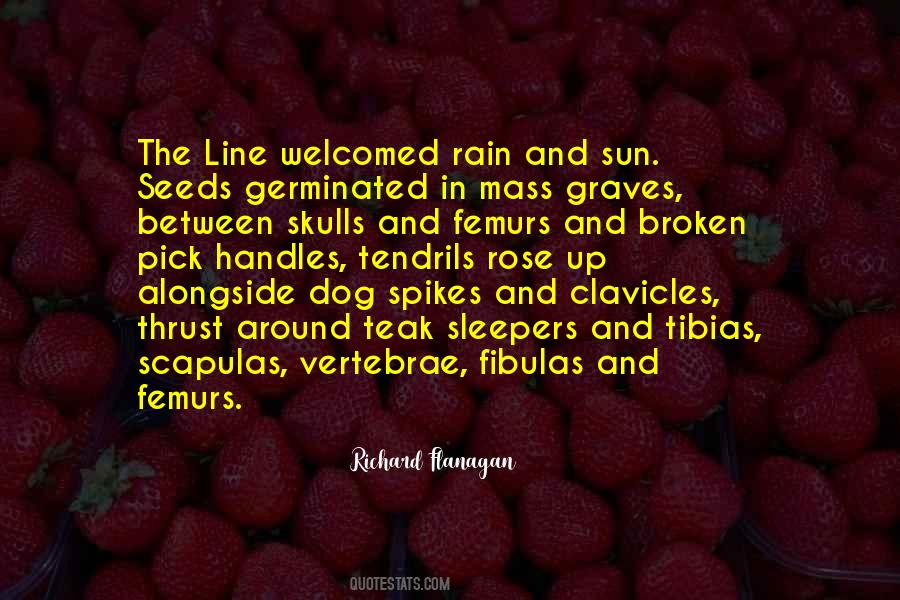 Quotes About The Death Of A Dog #1081243