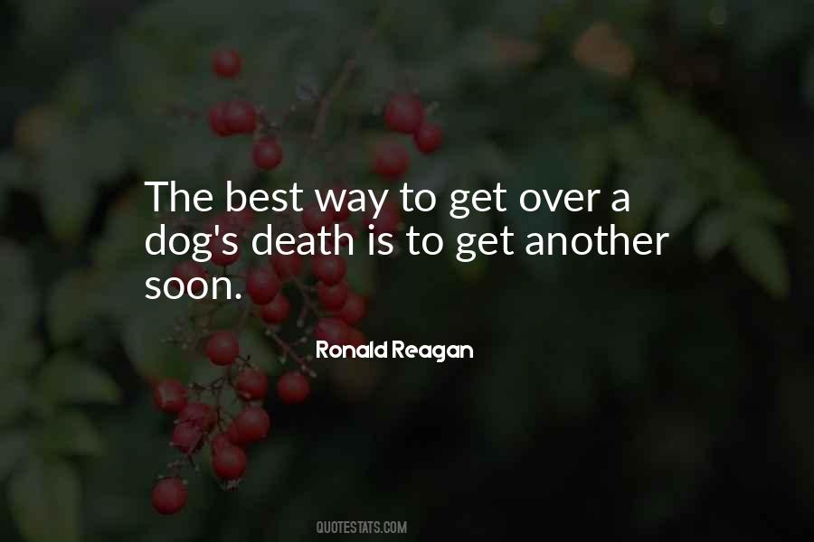 Quotes About The Death Of A Dog #40868