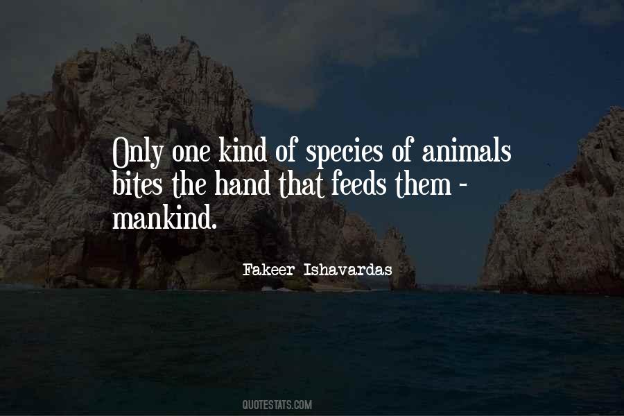 Hand That Feeds Quotes #62231