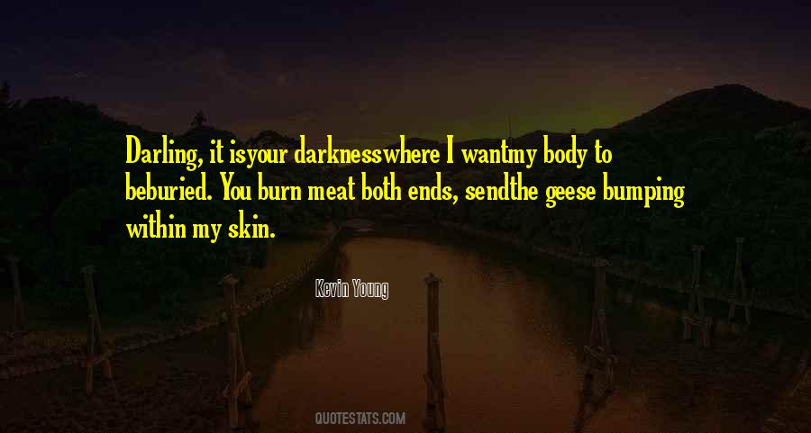 Quotes About The Darkness Within #164282