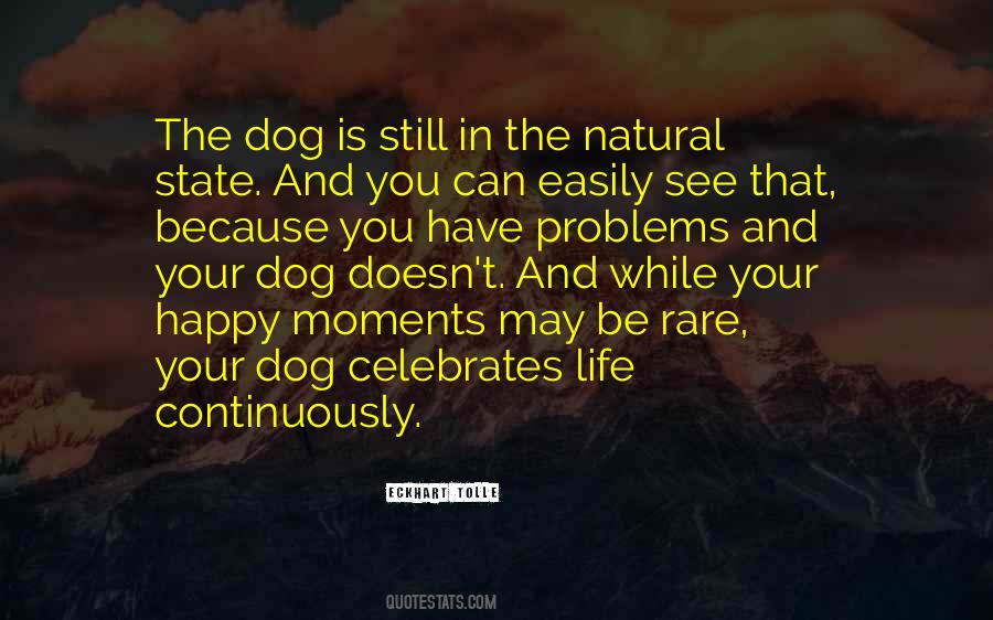 Happy As A Dog Quotes #788361
