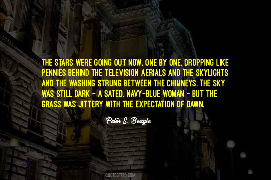Quotes About The Dark Sky #468138