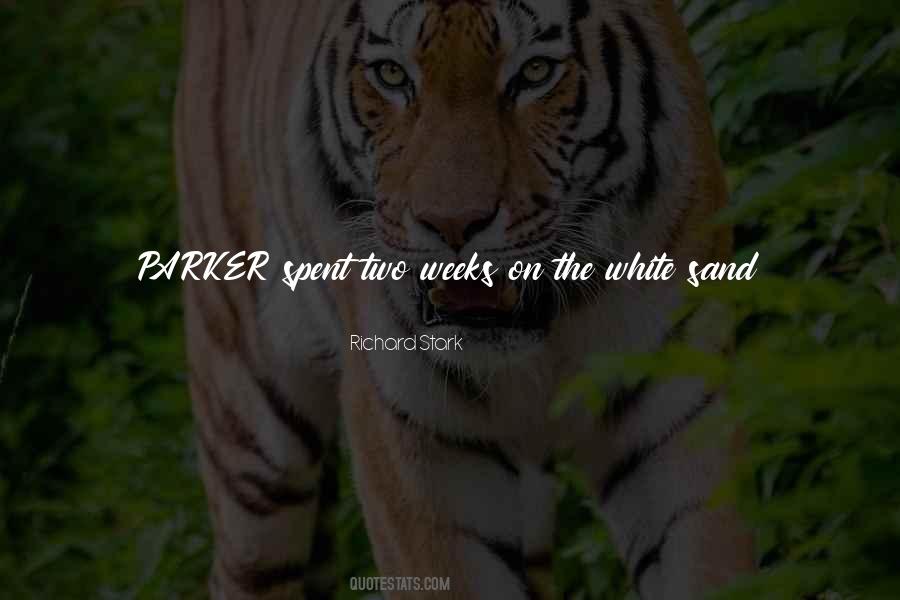 Hard Boiled Detective Quotes #886004