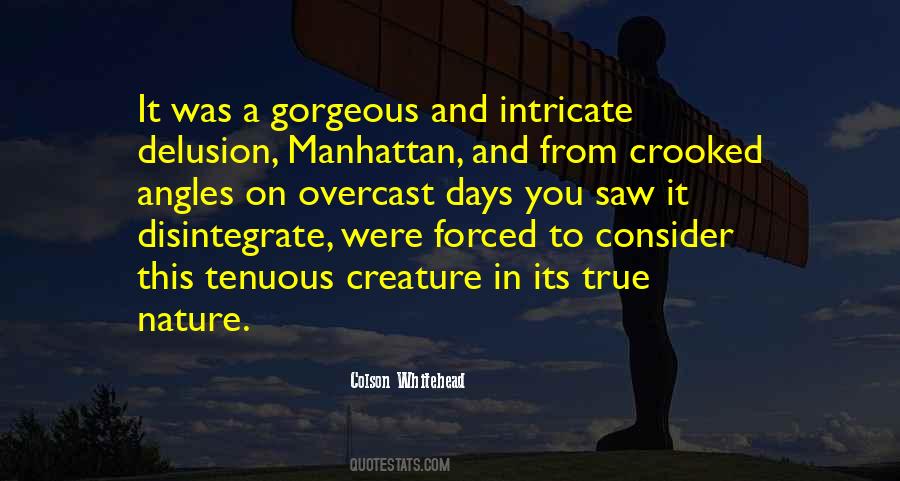 Hard Nosed Quotes #735067