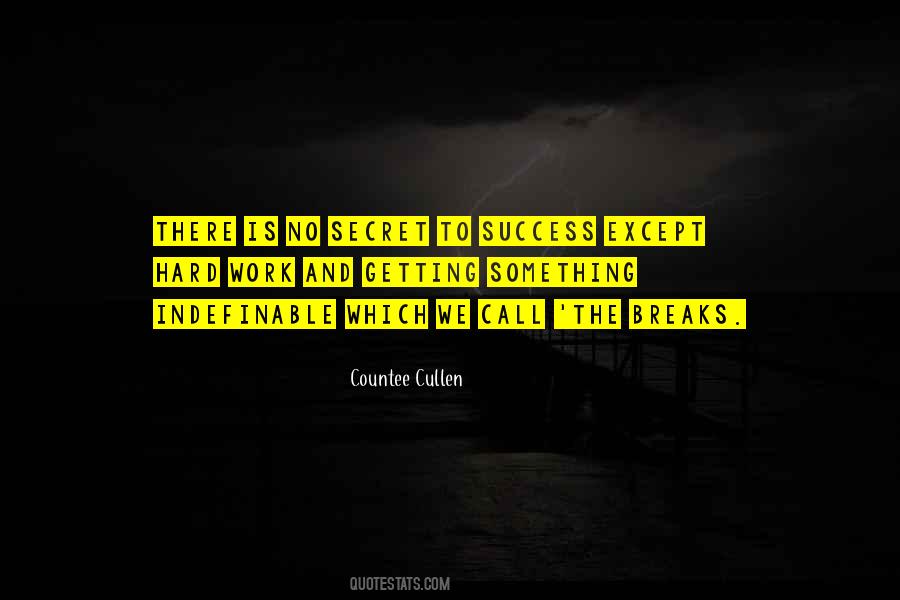 Hard Work Is Success Quotes #324027