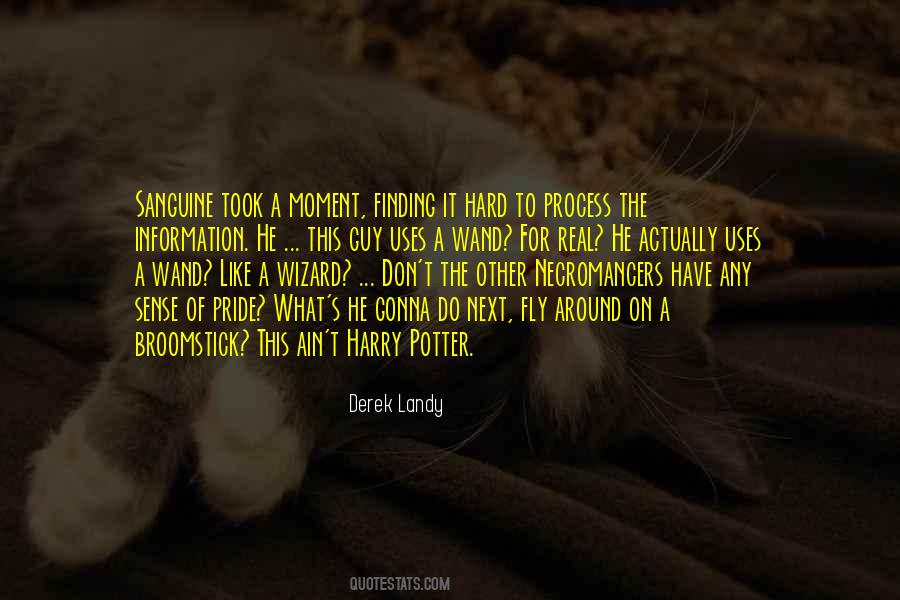 Harry Potter Broomstick Quotes #1412021