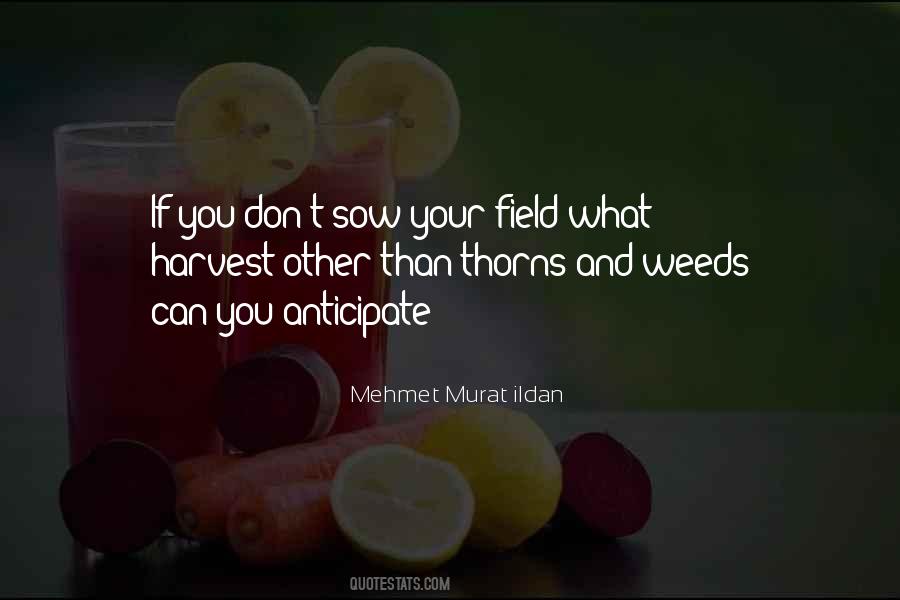 Harvest Of Thorns Quotes #1083374