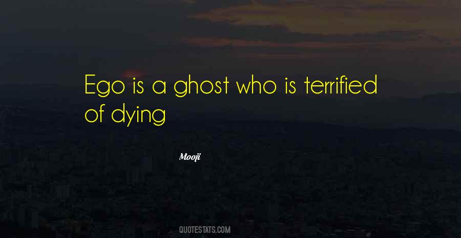 Hate Spiders Quotes #504014