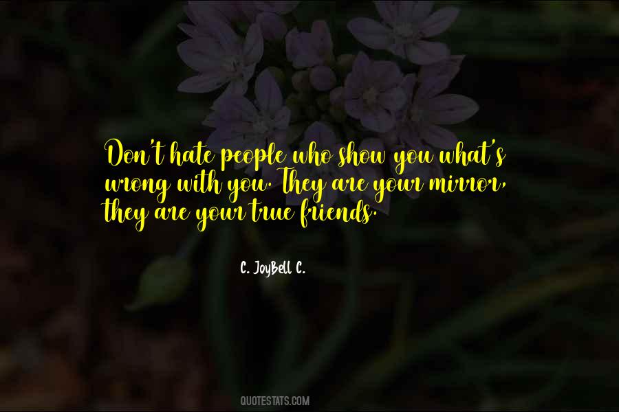 Hate You Friends Quotes #1137028