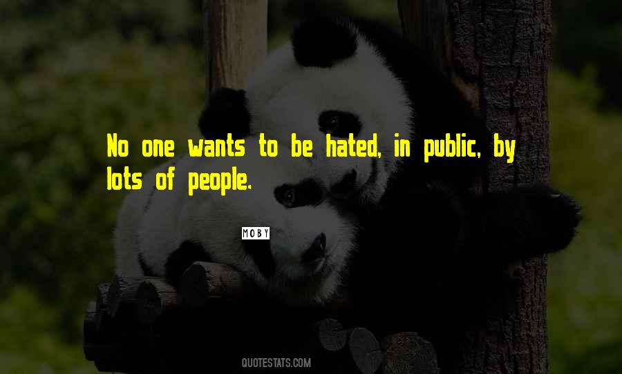 Hated By Others Quotes #5228