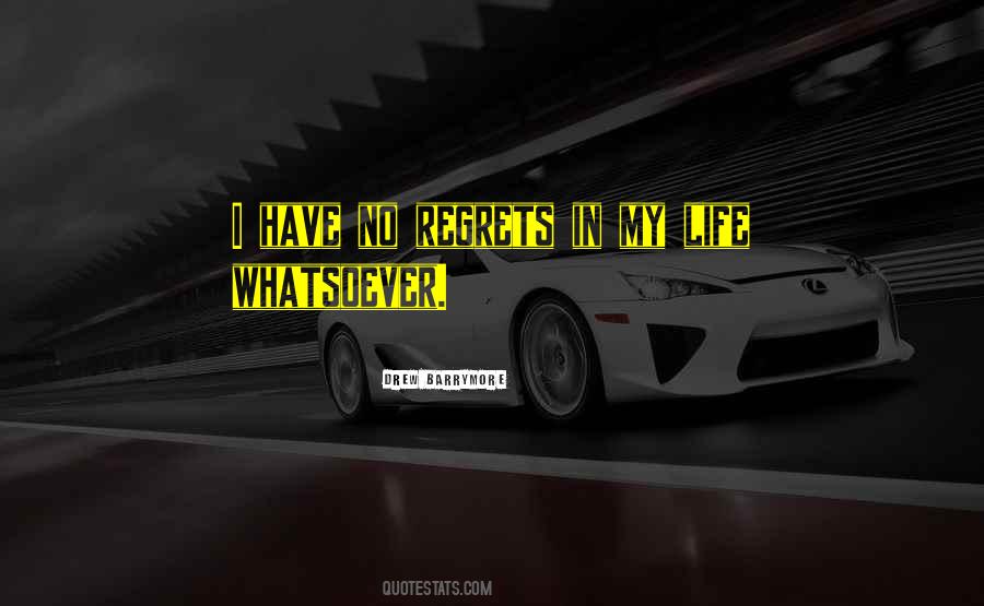 Have No Regrets Quotes #323024