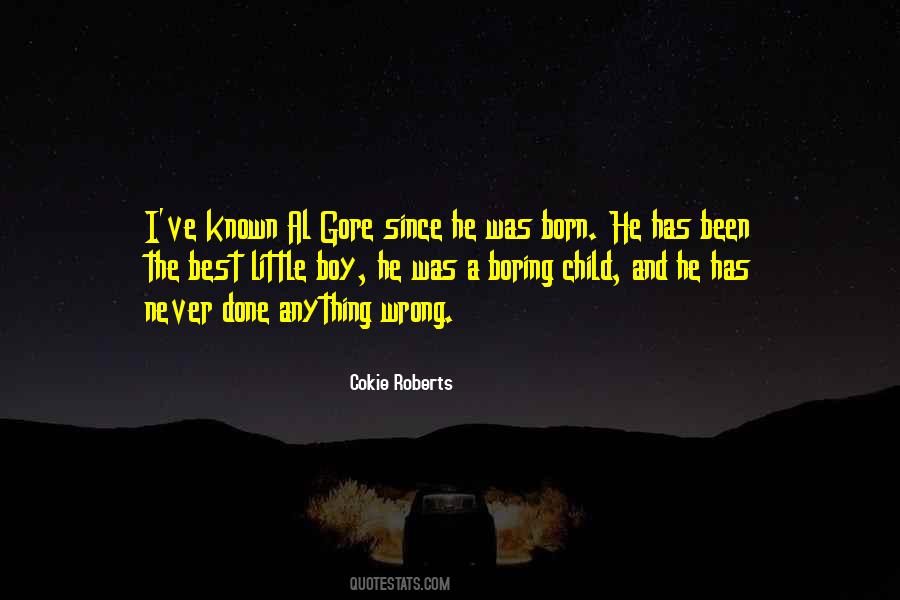 Having A Little Boy Quotes #5557