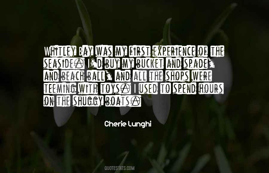 Having Fun In The Beach Quotes #1695