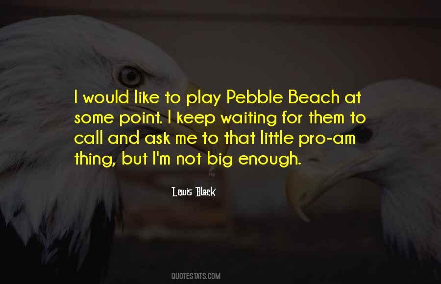 Having Fun In The Beach Quotes #18070